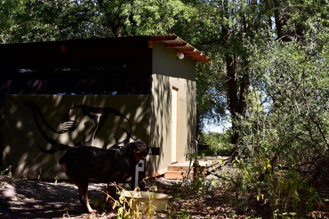 Phazama Farm Villa Maun Exteriör bild