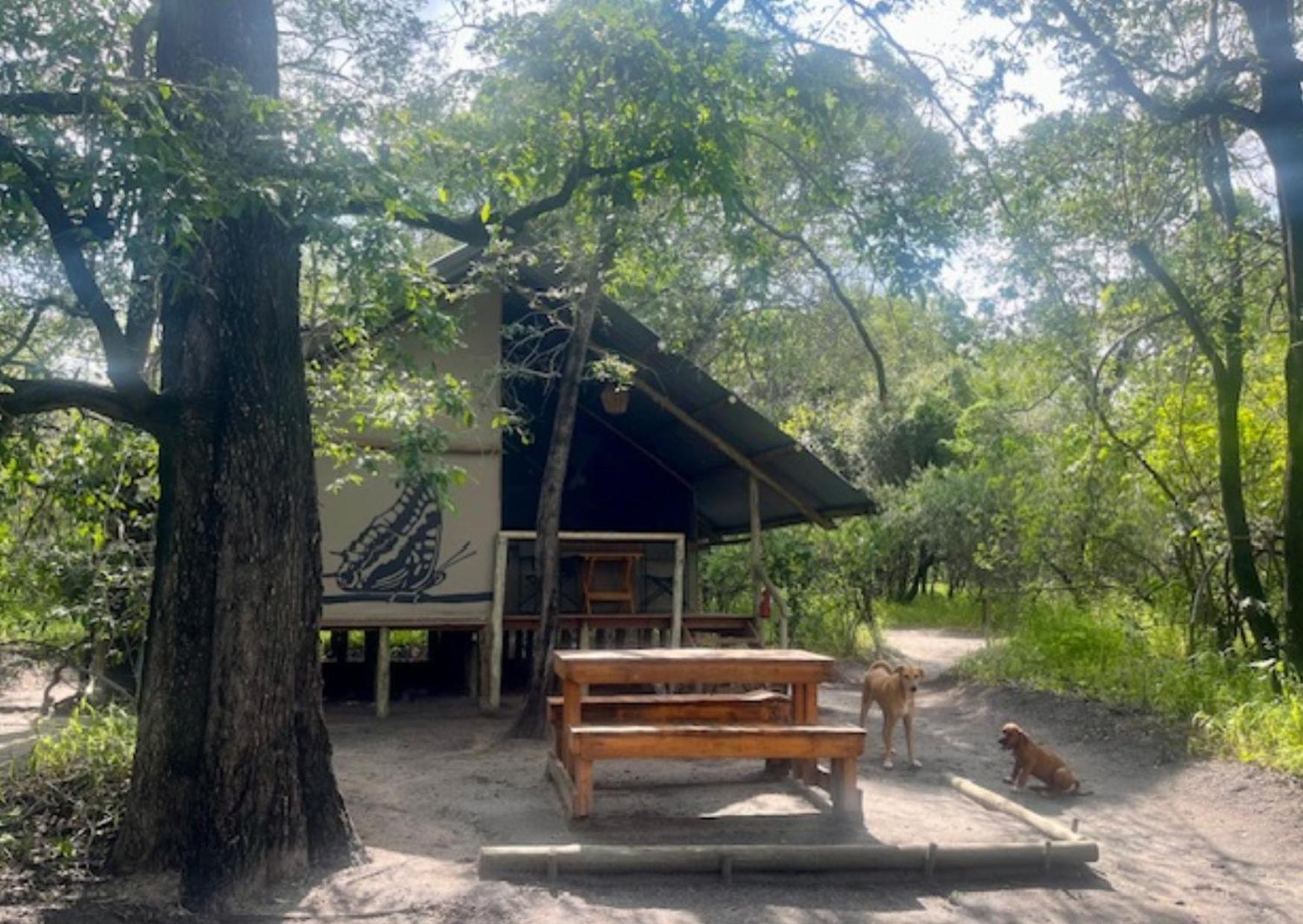 Phazama Farm Villa Maun Exteriör bild